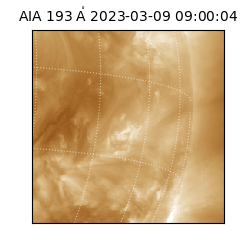 saia - 2023-03-09T09:00:04.838000