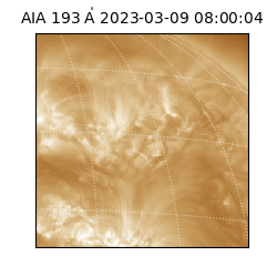 saia - 2023-03-09T08:00:04.843000