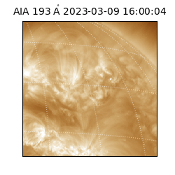 saia - 2023-03-09T16:00:04.842000