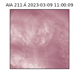 saia - 2023-03-09T11:00:09.634000