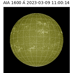 saia - 2023-03-09T11:00:14.137000