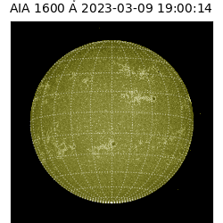 saia - 2023-03-09T19:00:14.133000