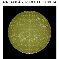 saia - 2023-03-11T09:00:14.125000