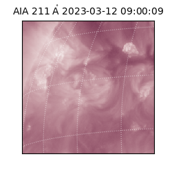 saia - 2023-03-12T09:00:09.626000