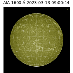 saia - 2023-03-13T09:00:14.125000