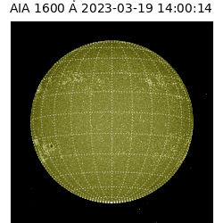 saia - 2023-03-19T14:00:14.126000