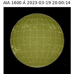 saia - 2023-03-19T20:00:14.126000