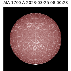 saia - 2023-03-25T08:00:28.745000