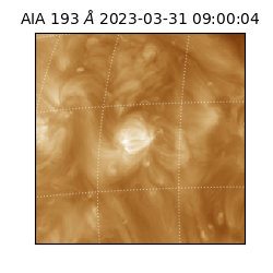 saia - 2023-03-31T09:00:04.843000