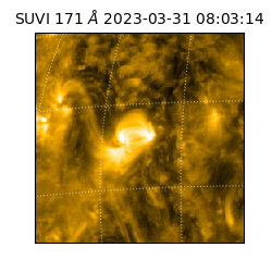 suvi - 2023-03-31T08:03:14.894000