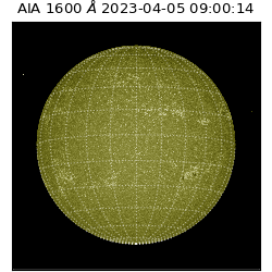 saia - 2023-04-05T09:00:14.130000