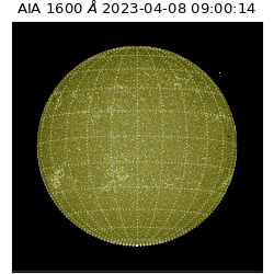 saia - 2023-04-08T09:00:14.130000