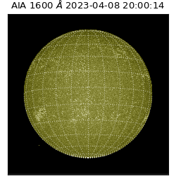 saia - 2023-04-08T20:00:14.130000