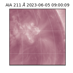 saia - 2023-06-05T09:00:09.633000