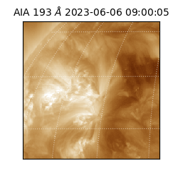 saia - 2023-06-06T09:00:05.957000