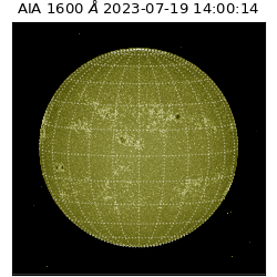 saia - 2023-07-19T14:00:14.126000