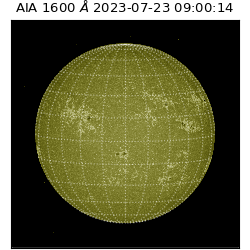 saia - 2023-07-23T09:00:14.117000