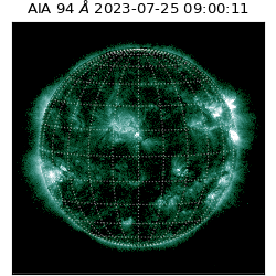saia - 2023-07-25T09:00:11.124000