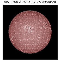 saia - 2023-07-25T09:00:28.448000