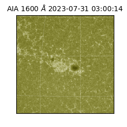 saia - 2023-07-31T03:00:14.126000