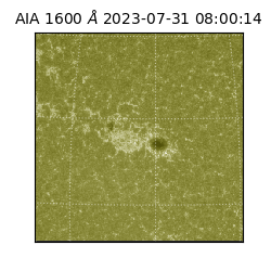 saia - 2023-07-31T08:00:14.125000