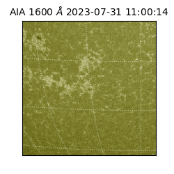 saia - 2023-07-31T11:00:14.126000