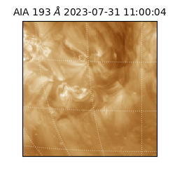 saia - 2023-07-31T11:00:04.846000