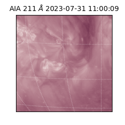 saia - 2023-07-31T11:00:09.626000