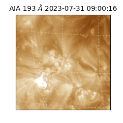saia - 2023-07-31T09:00:16.846000