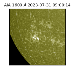 saia - 2023-07-31T09:00:14.131000
