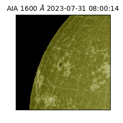saia - 2023-07-31T08:00:14.125000