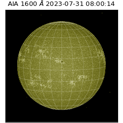 saia - 2023-07-31T08:00:14.125000