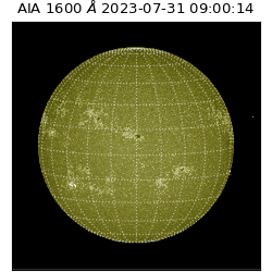 saia - 2023-07-31T09:00:14.131000