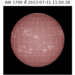 saia - 2023-07-31T11:00:28.448000
