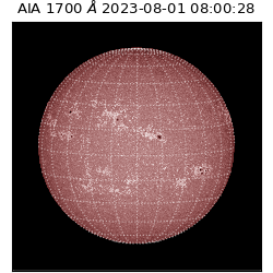 saia - 2023-08-01T08:00:28.448000