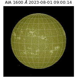 saia - 2023-08-01T09:00:14.119000
