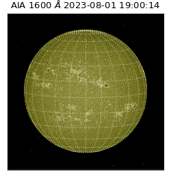 saia - 2023-08-01T19:00:14.126000