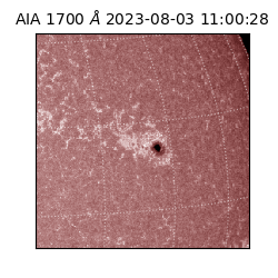 saia - 2023-08-03T11:00:28.447000