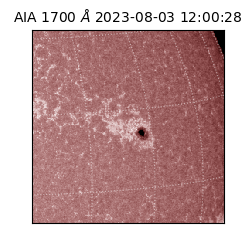saia - 2023-08-03T12:00:28.448000