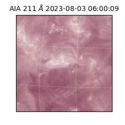 saia - 2023-08-03T06:00:09.630000