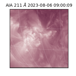saia - 2023-08-06T09:00:09.626000