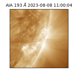 saia - 2023-08-08T11:00:04.843000