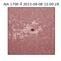 saia - 2023-08-08T13:00:28.449000