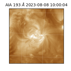 saia - 2023-08-08T10:00:04.843000