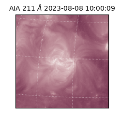 saia - 2023-08-08T10:00:09.626000