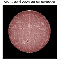 saia - 2023-08-08T08:00:28.448000