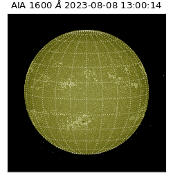 saia - 2023-08-08T13:00:14.126000