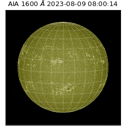 saia - 2023-08-09T08:00:14.130000