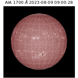saia - 2023-08-09T09:00:28.456000