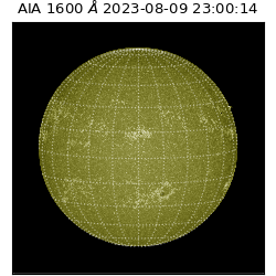 saia - 2023-08-09T23:00:14.118000